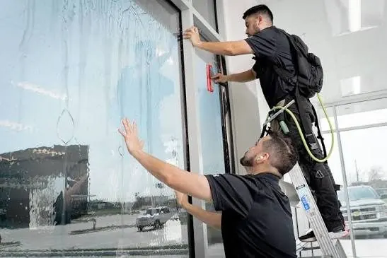 Privacy & frosted window film